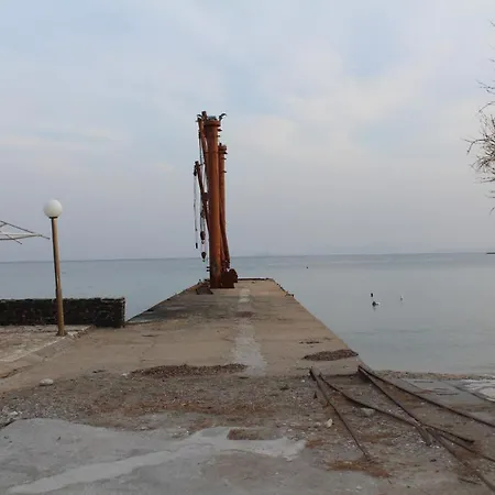 Hippocampus 2' Walk From The Sea 3* Moutsouna